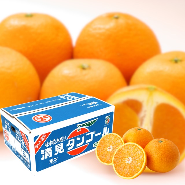 清見 5kg 特選品 2L　【１０３】