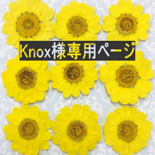 Knox様専用ページ　【押し花セット50点】