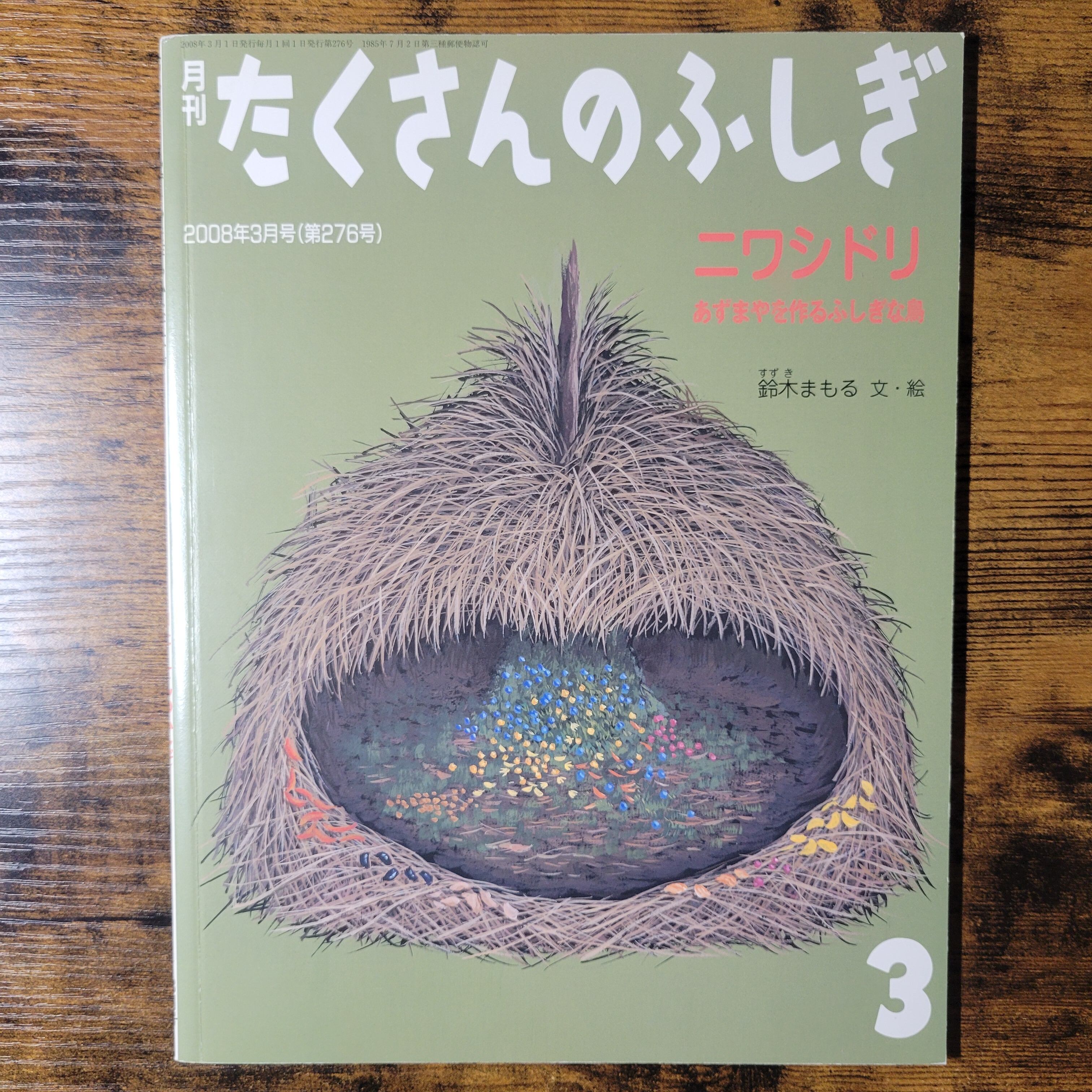 絵本『ギアナ高地 謎の山テプイ』 | エースブックサービス