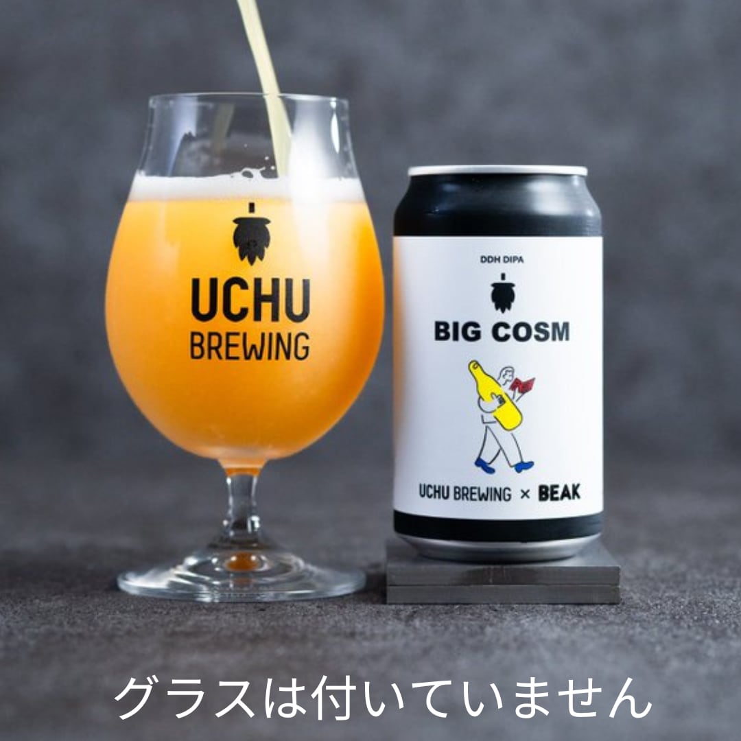 うちゅうブルーイングxビークブルワリー Beak Brewery BIG COSM 350ml【クール必須】