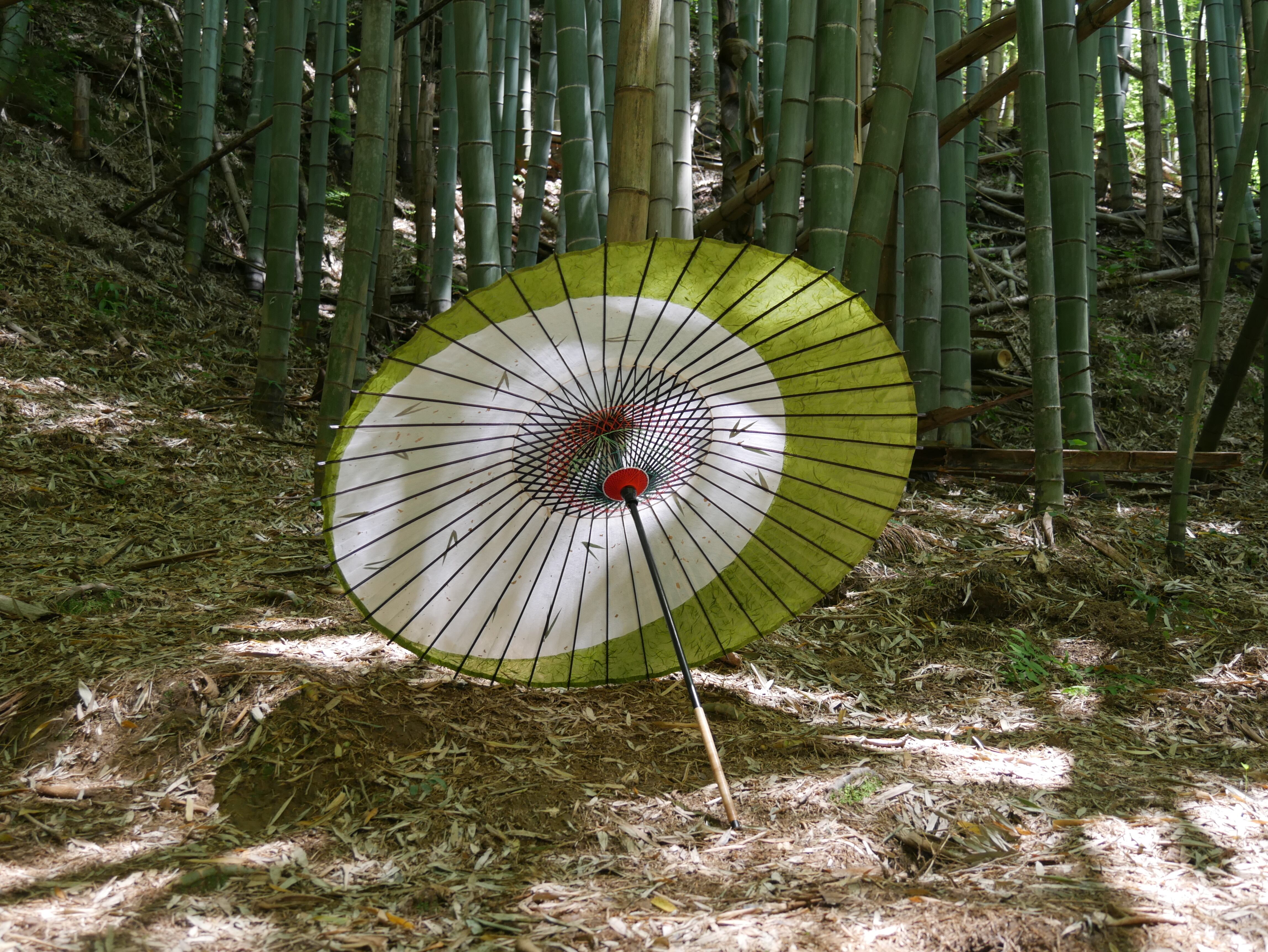 月奴日傘 (緑) Tsukinoyo parasol(green) | 和傘 傘森 wagasa kasamori