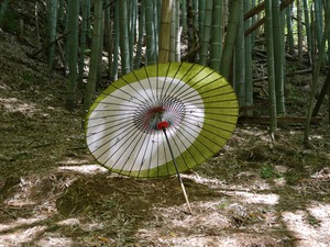日傘「笹の葉」　Higasa 『Fern bamboo・big』