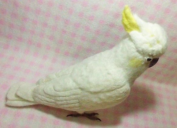 ほぼリアルサイズ♪ コバタン(コキサカオウム・キバタンに変更可能