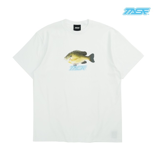 TASF / ギルTee / White