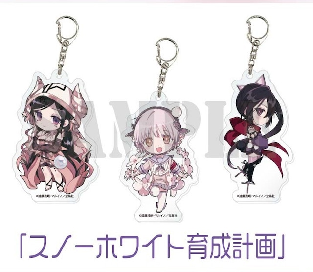 ミニキャラアクリルキーホルダーセットA/B／朗読劇 魔法少女育成計画「スノーホワイト育成計画」