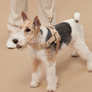 Pups&Bubs  Rover Harness Sサイズ〖 即納 〗
