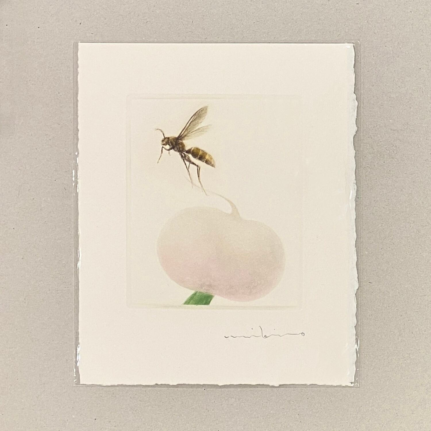 《ノエルの贈り物》渡邉幹夫 カラーメゾチントのカード WATANABE Mikio,mezzotint