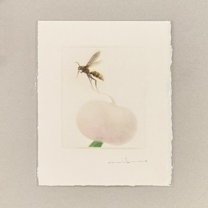 《ノエルの贈り物》渡邉幹夫 カラーメゾチントのカード WATANABE Mikio,mezzotint