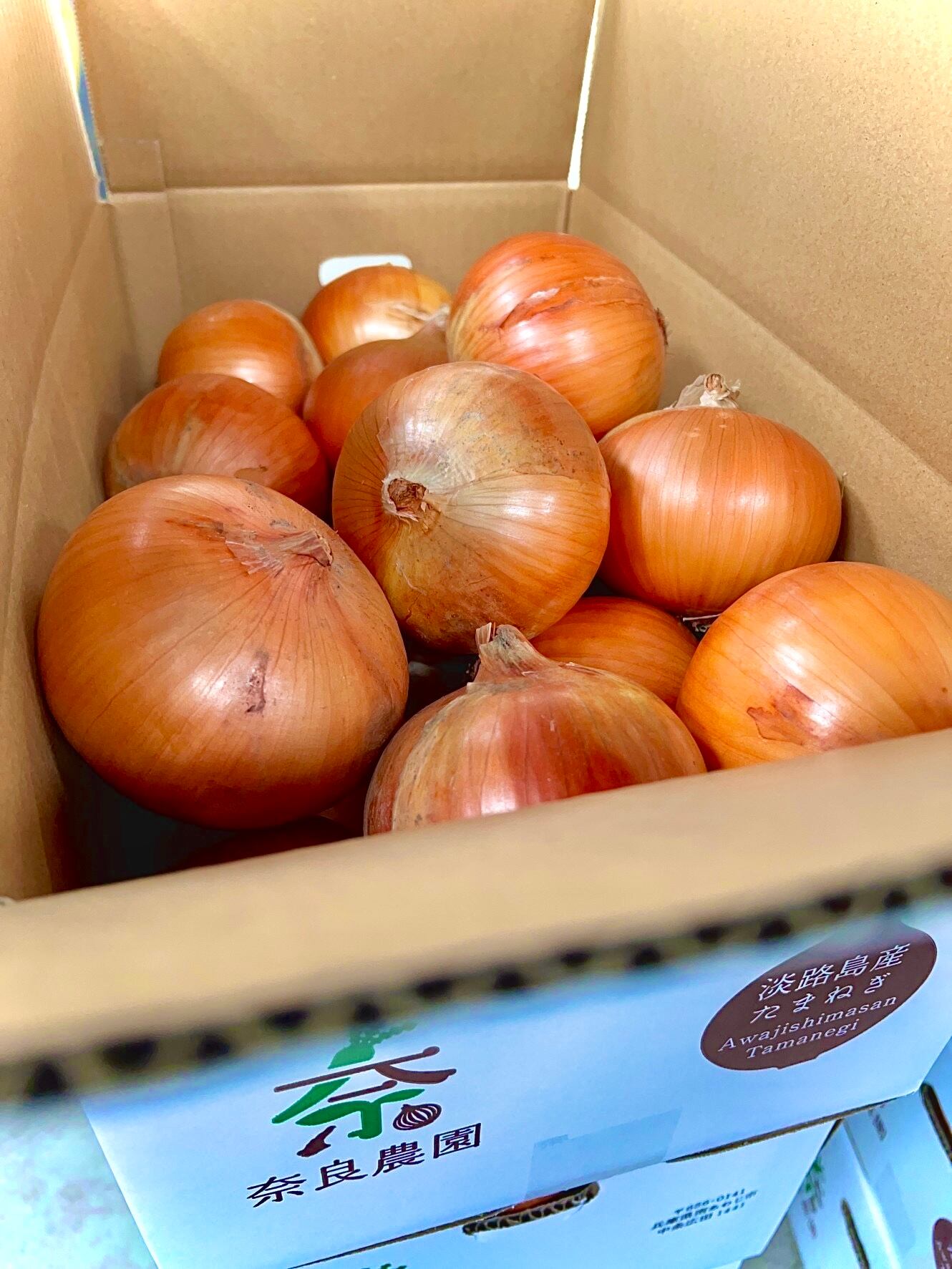最上級品】淡路島玉ねぎ（中生ターザン）10kg サイズ色々 秀品 | 奈良農園