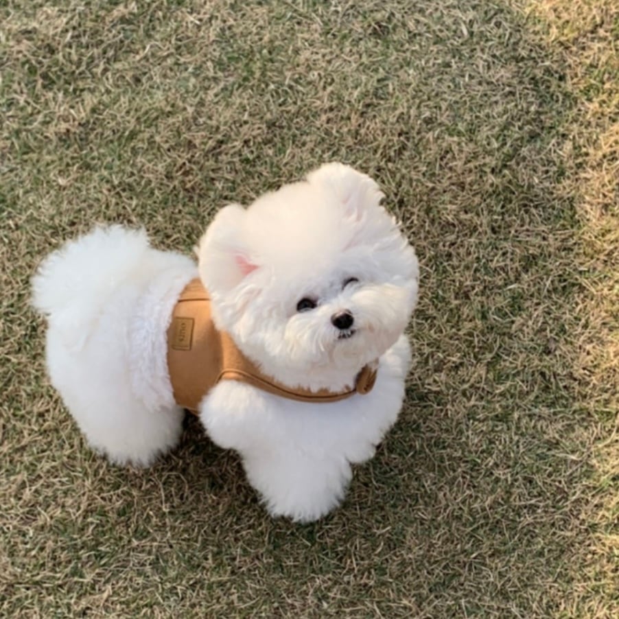 ブランドから選ぶ | ropet