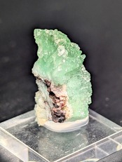 グリーンアポフィライト  Jalgaon, Maharashtra, India   AR84801209