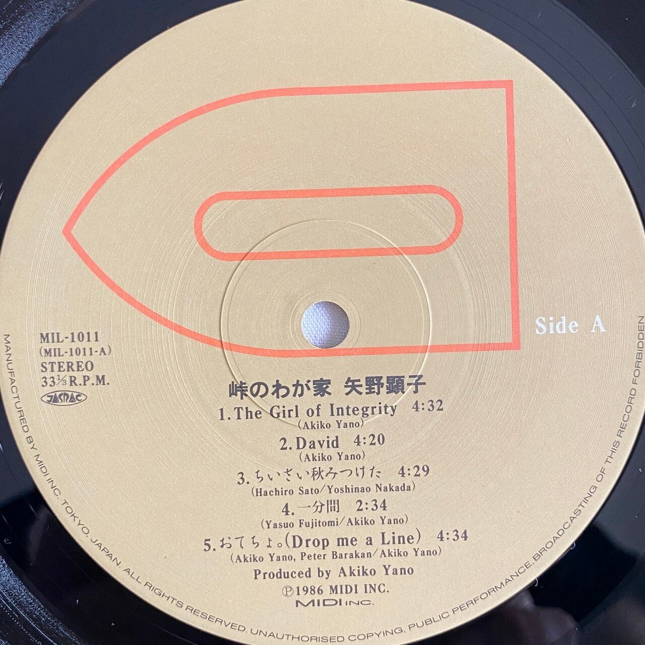 LP】integlity ぬるい 2000 レコード
