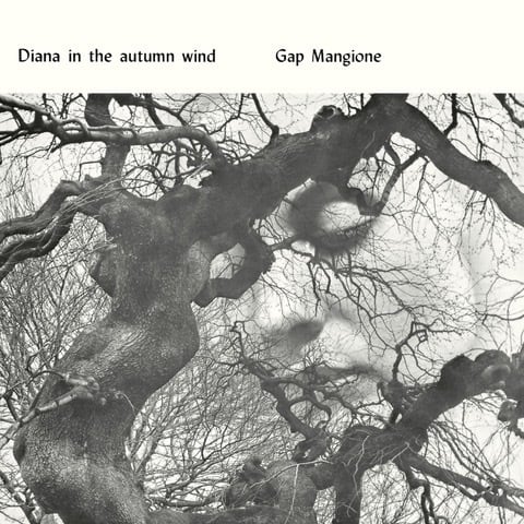 〈残り1点〉【LP】Gap Mangione - Diana In The Autumn Wind