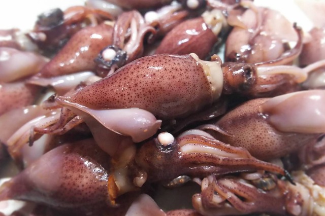 新物！第2段！伊勢湾産の最高級生海苔（500gパック）※1㎏から購入可能です！