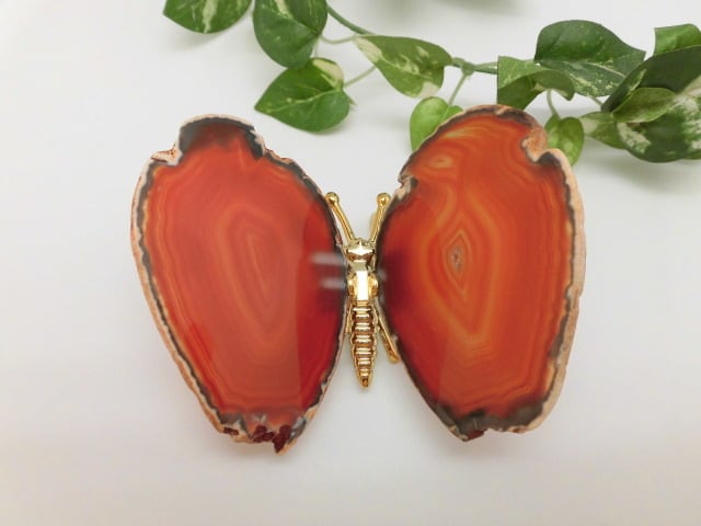 【瑪瑙】　ゴージャス蝶々　no.2