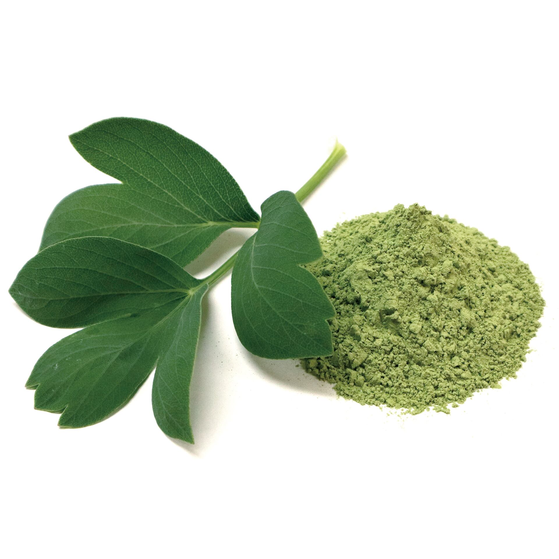 しょうどしま長命草粉末<(株)高橋商店>