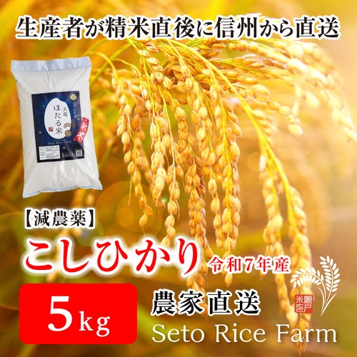 【R7年度】減農薬 こしひかり　５kg　日本を代表するブランド米　甘味と強い粘りが特徴で冷めても美味しいと人気が高い定番のお米♪