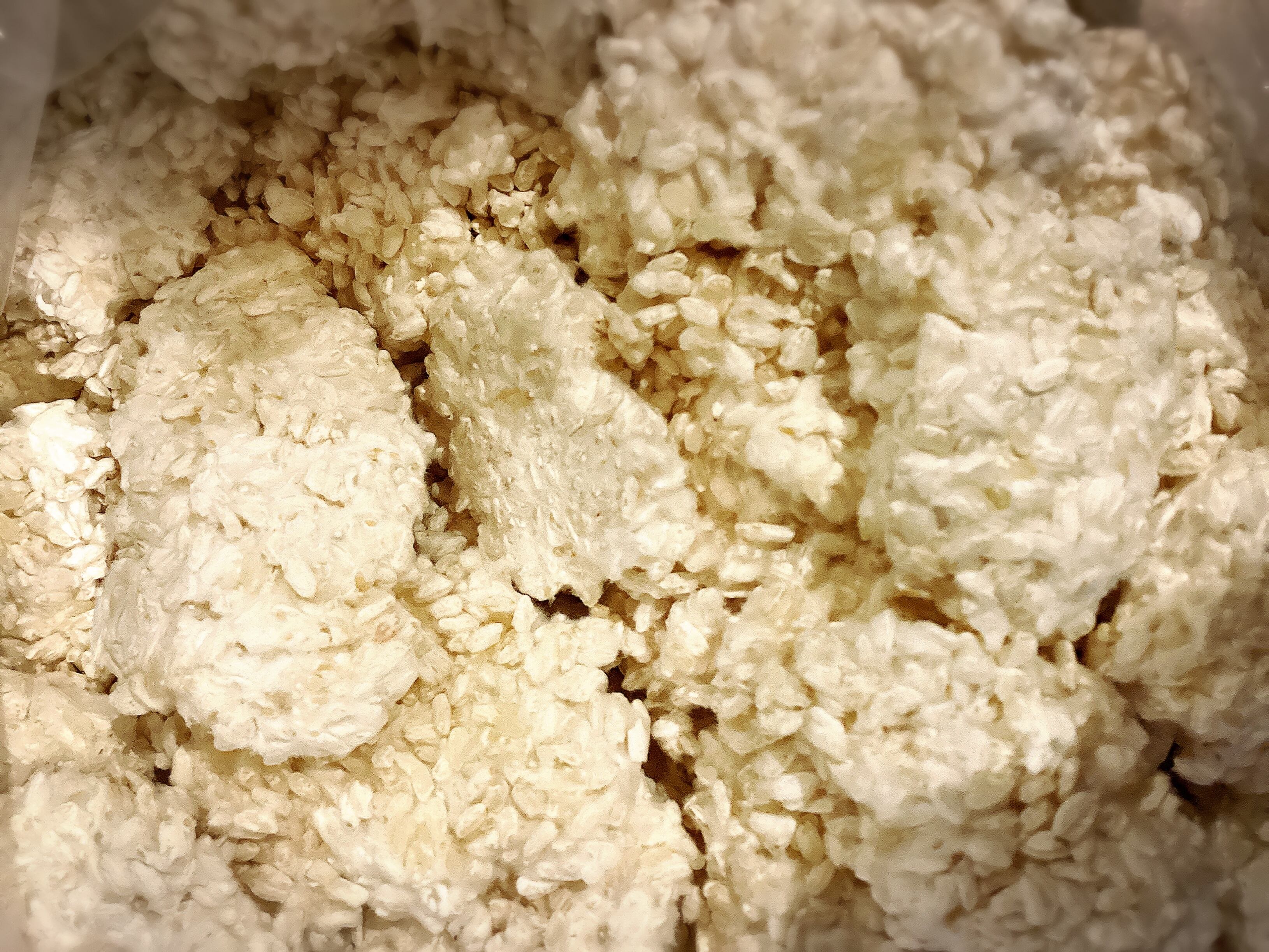 自然栽培 朝日米 米麹 在来種 5分つき米麹 1kg | Organic Cafe 