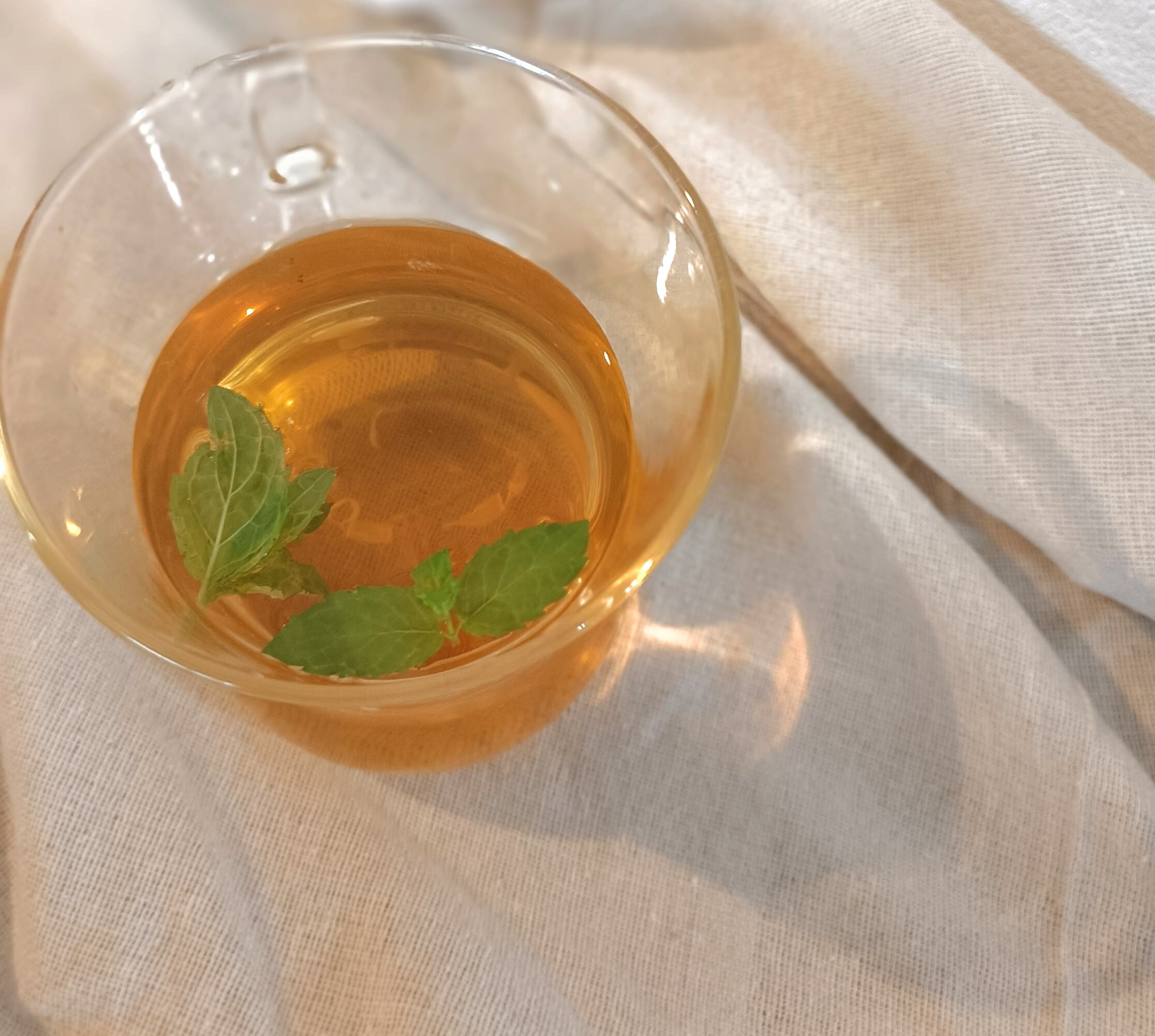 菊芋茶　専用ページ プレーン 菊いも茶 5P | くふふ 菊芋茶