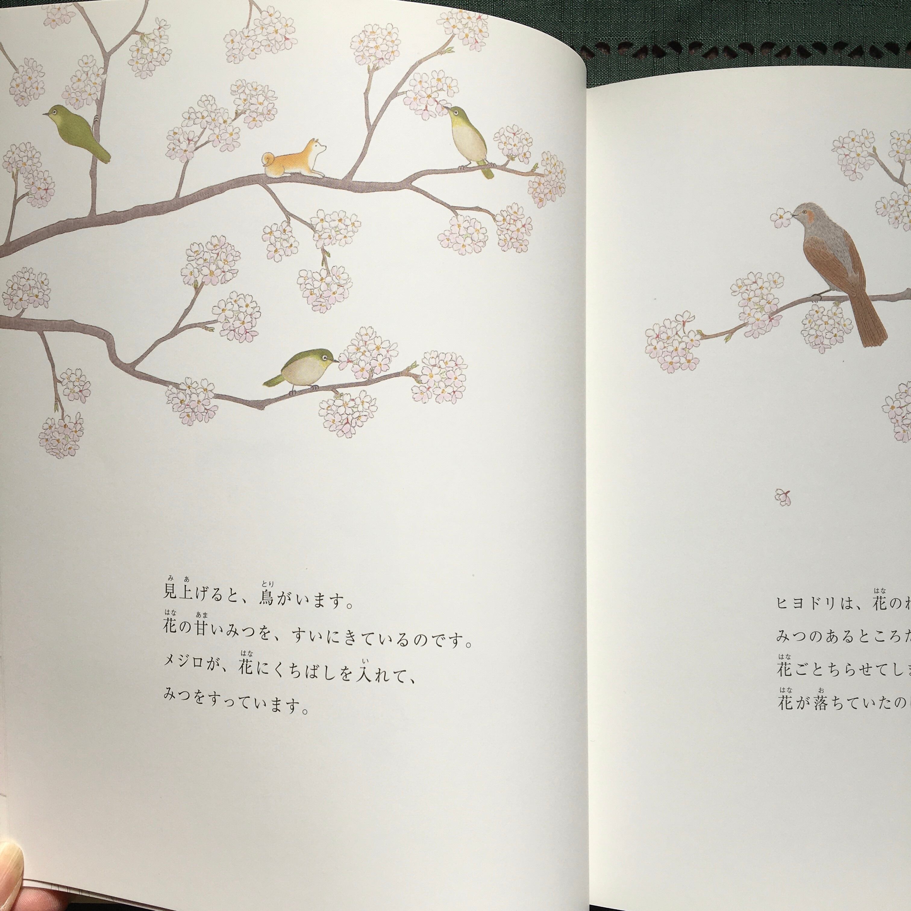 春の主役ー桜ー