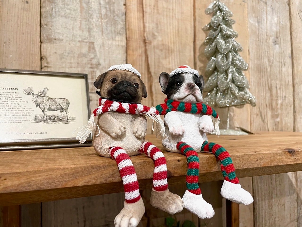 560964a0a760bfb3861b0bd296287a