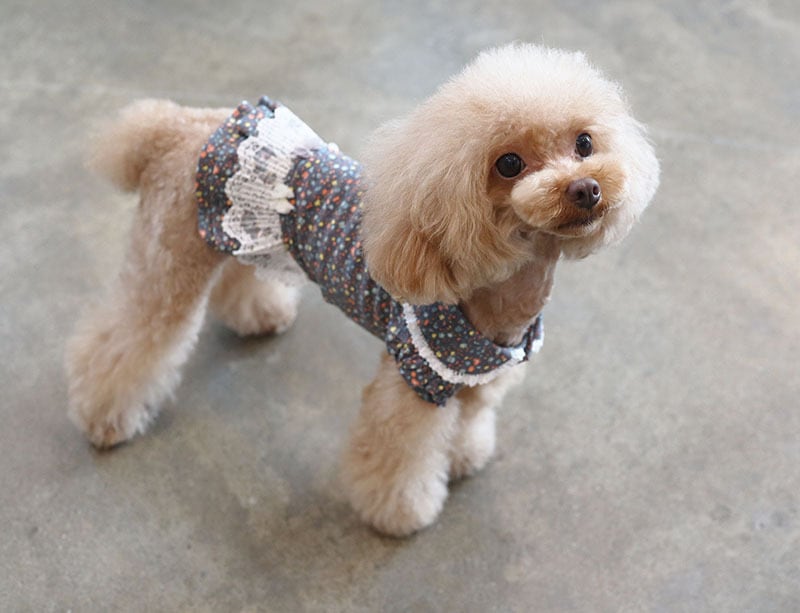 フラワーワンピース  /  犬服 ワンピース お出かけ 小型犬 中型犬 可愛い ドッグウェア 犬の服 ドレス お揃い