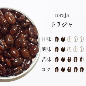 トラジャ(100g)