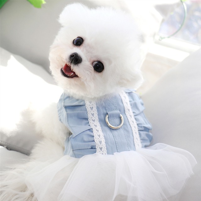 【ワンカラー】リードをつなげるリング付きブルーワンピース d1543