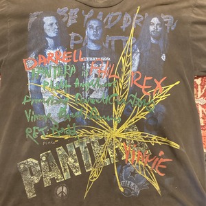 90s PANTERA BEYOND DRIVEN フォトプリント Tシャツ Hanes パンテラ バンT