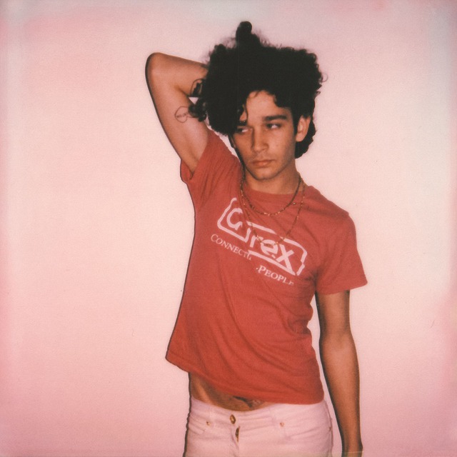 【限定】THE 1975「君が寝てる姿が好きなんだ。なぜなら君はとても美しいのにそれに全く気がついていないから。 (10周年記念・直輸入盤仕様2LP)」アナログ盤（12インチ2枚組）