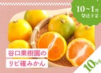 【予約販売】谷口果樹園のリピ確みかん（温州みかん10kg）