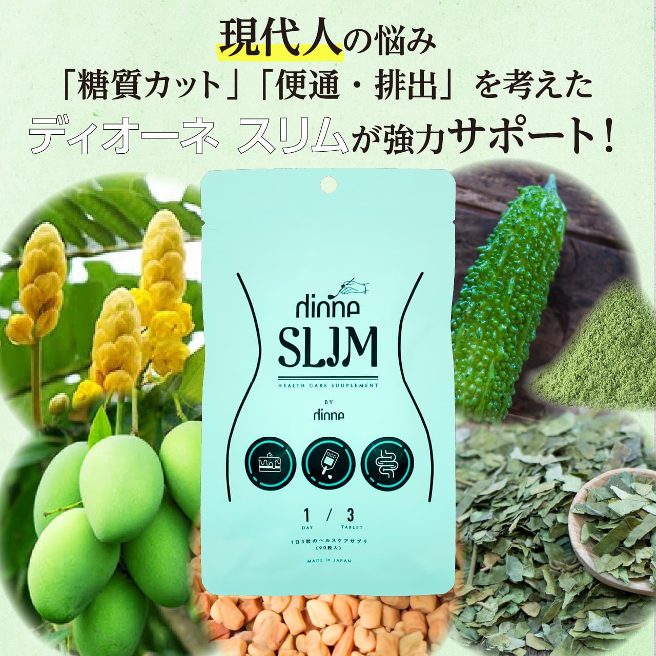 dione SLIM】ディオーネ スリム【定期便（毎月お届け）送料無料 
