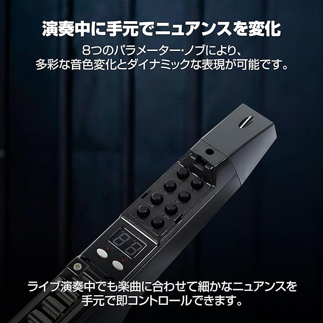 Akai Professional EWI 5000 ウインドシンセサイザー 電子管楽器