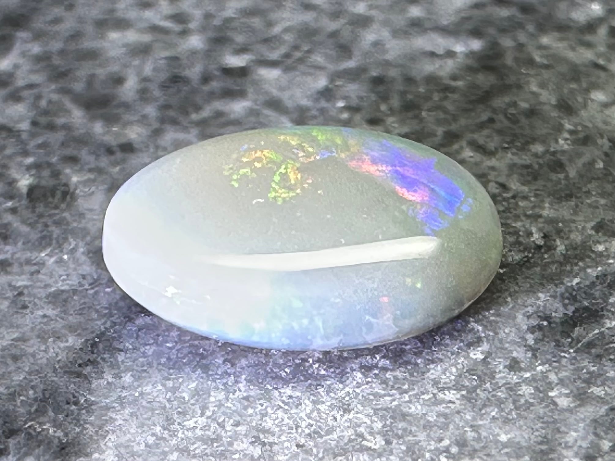 遼寧省産ザリガニの化石・278g（中国産化石標本） | Pay ID