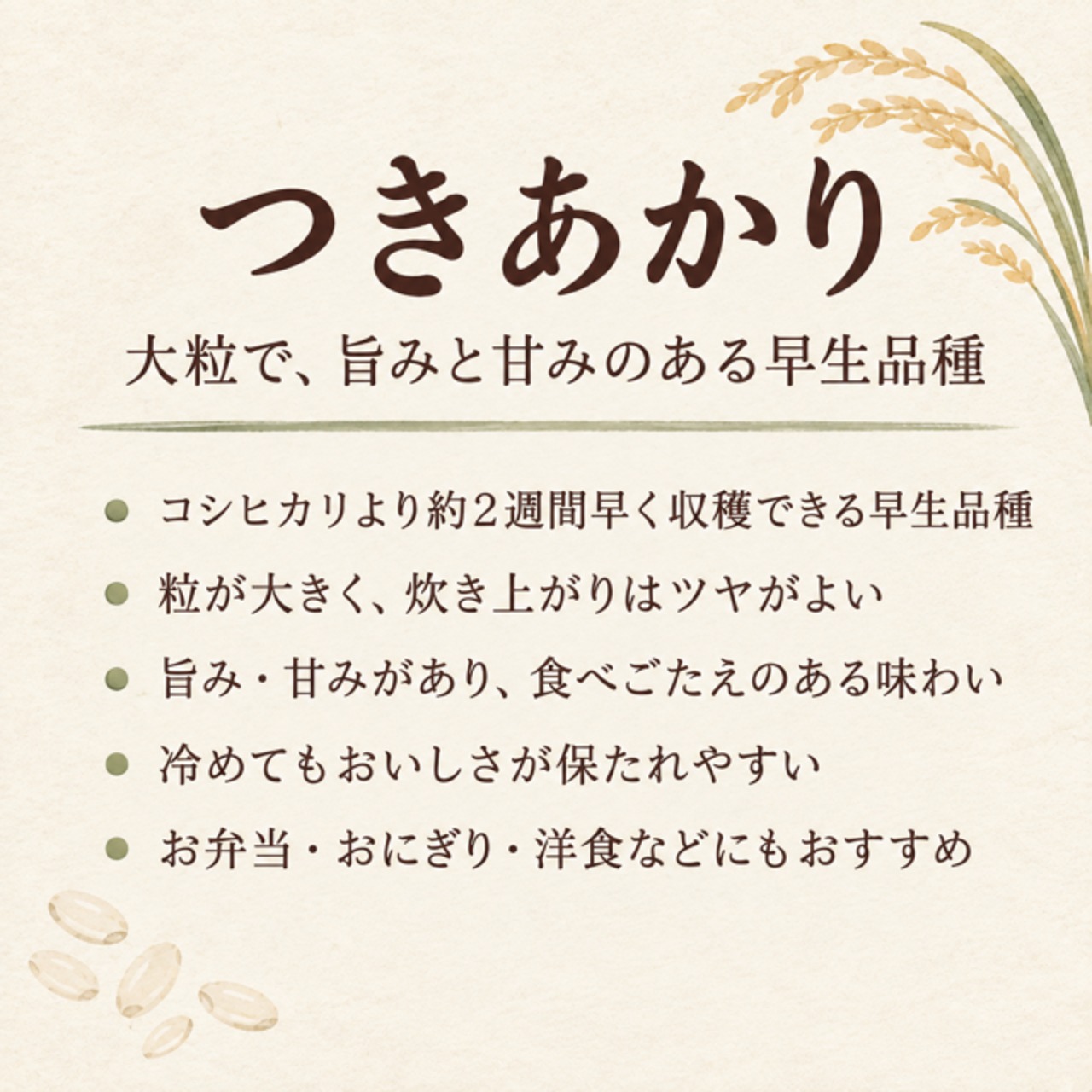 新米】令和8年産つきあかり15kg【精米】 | Duck'sfarm