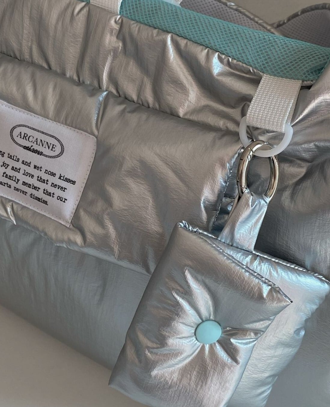 予約【ARCANNE】Canne bag《Silver×Mint / 2size対応》 | haneulpet