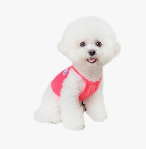 【THEREST OF LIFE】COOL WATER CROP (NEON PINK))