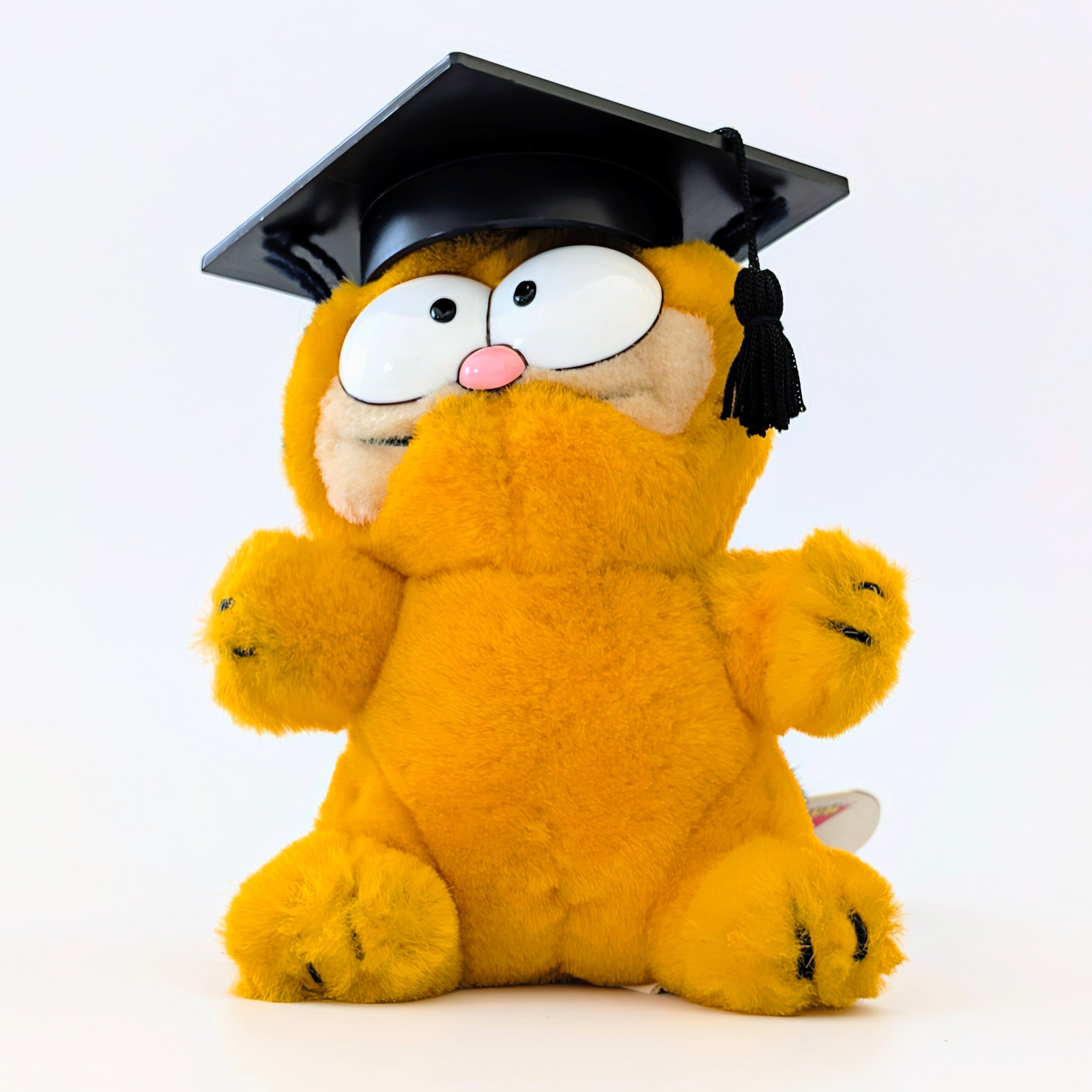 ☆ VINTAGE 1980年代初期☆【 Garfield ( ガーフィールド ) 】『 Garfield ガーフィールド 卒業式 ミニプラッシュ 』ぬいぐるみ / プラッシュ / plush / 1980年代年製 〚アメリカン雑貨 アメトイ〛