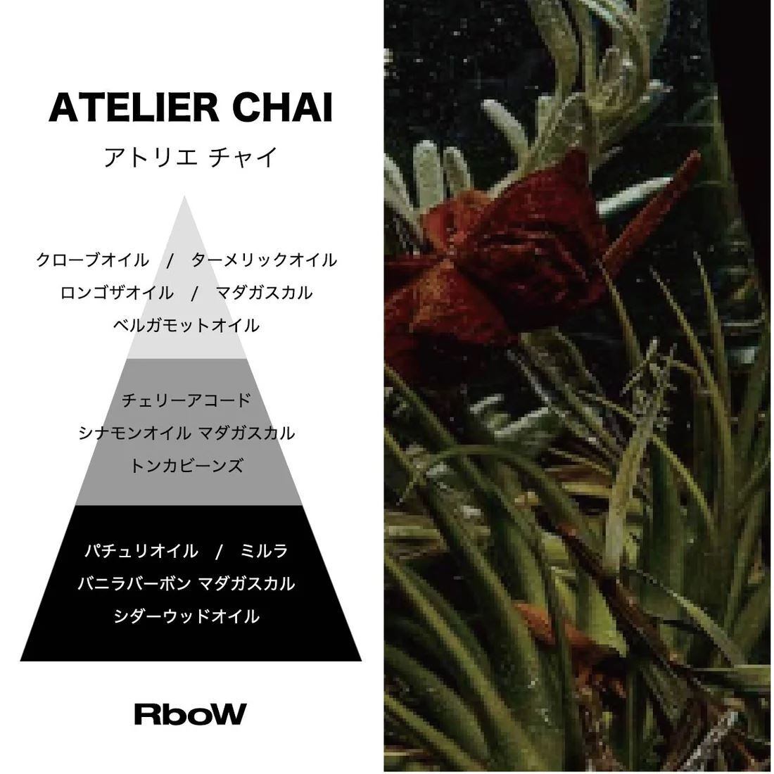 希少アールボウケーススタディオードパルファムアトリエチャイ30ml RboW(アールボウ) ケーススタディ オードトワレ アトリエチャイ 30mL