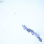 Daybreak Blue 04 - アゲートヒーリングチャイム / Agate Sun Catcher Wind Chime 043