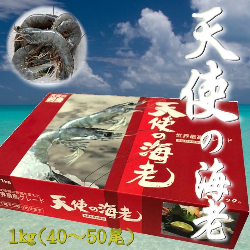 専用出品①(海) 天使の海老 1kg約50尾 刺身用【天国に一番近い島の海老】旨味・甘味が