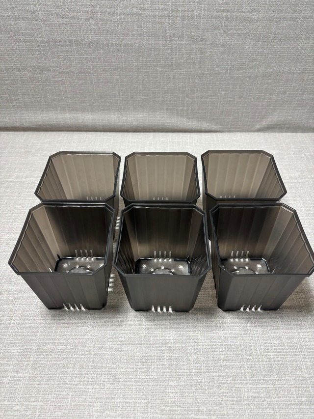 【Ｚ9.5G】9.5㎝ルータルザーザーポット　グレー６個セット