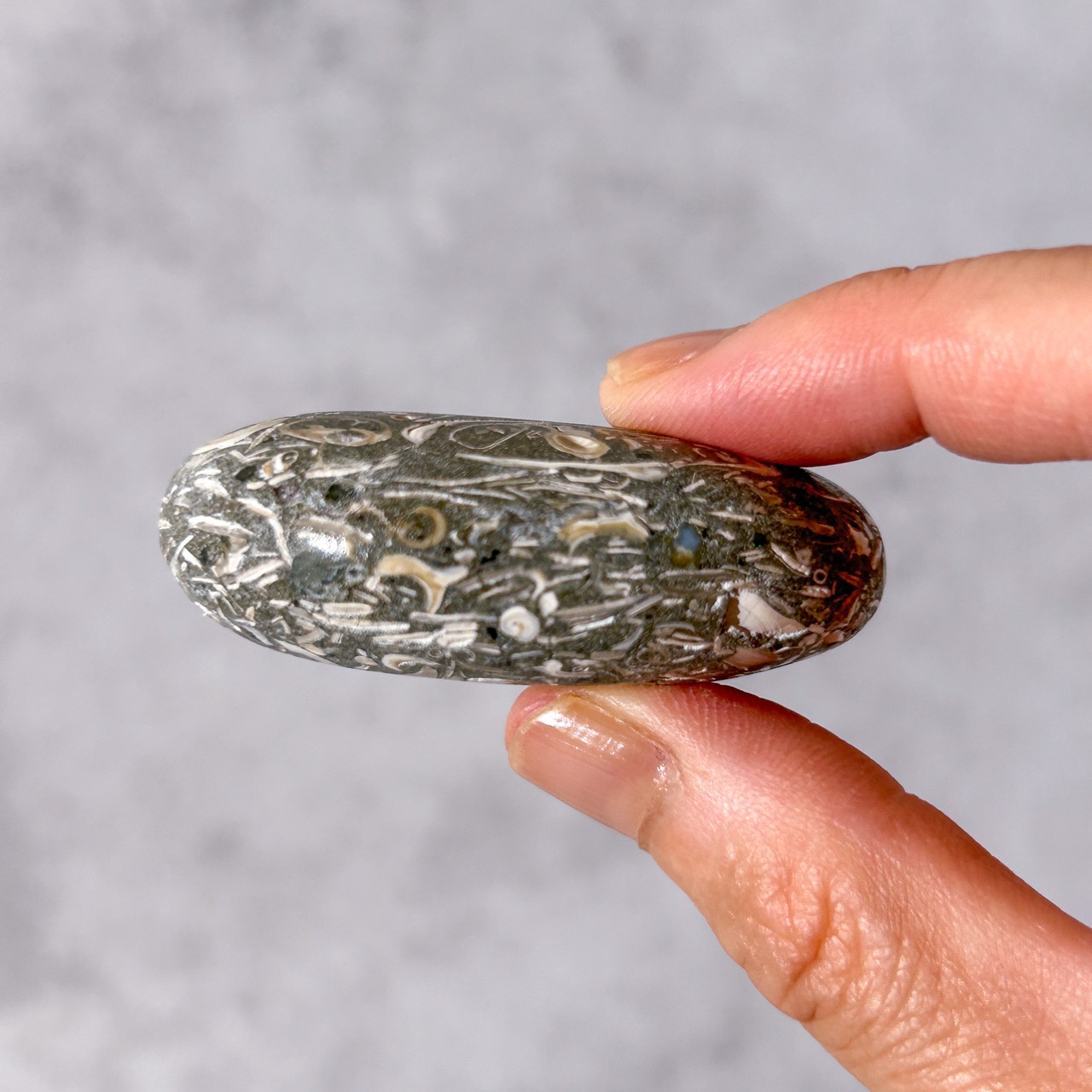 ツリテラアゲート 04 パーム * Turitella Agate * 天然石