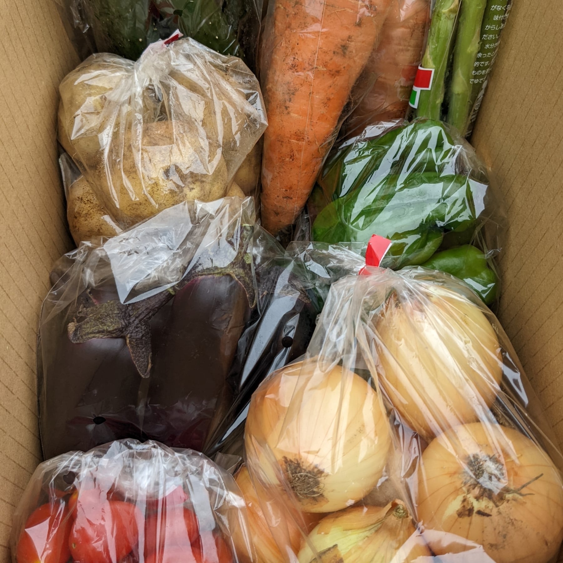 送料無料】旬のきまぐれ野菜セット | さんて旬菜館