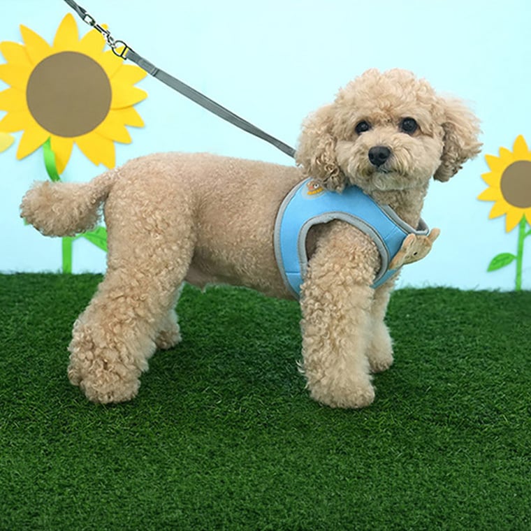 soft bear harness S ～ L 2color / 犬用 ハーネス 胴輪 リード 光る 夜のお散歩 メッシュ素材 サイズ 調節 通気性 可愛い 犬ハーネス お出かけ 散歩 小型犬 中型犬 韓国ワンコ服 クマ柄 お揃い