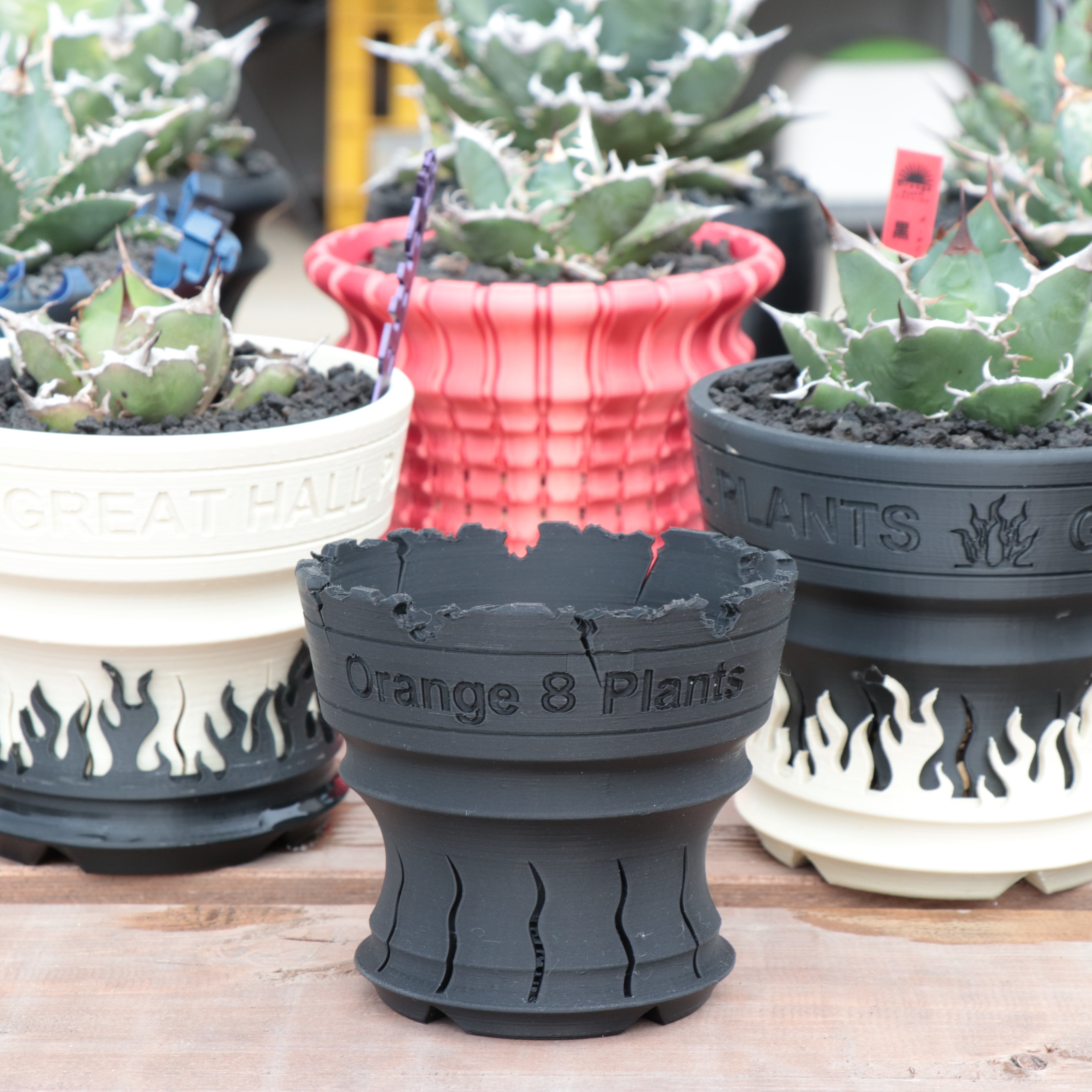 5号鉢 自分で仕上げる