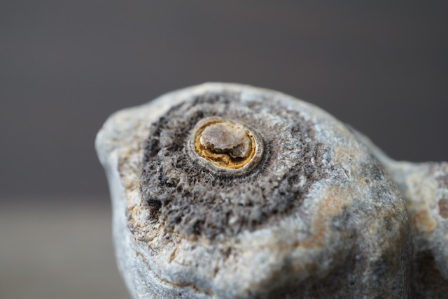 ゴビアゲート Gobi Agate 1686