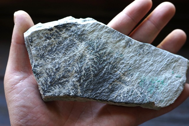 コンゴ産デンドライト・クリソコラ Dendrite / Chrysocolla ③