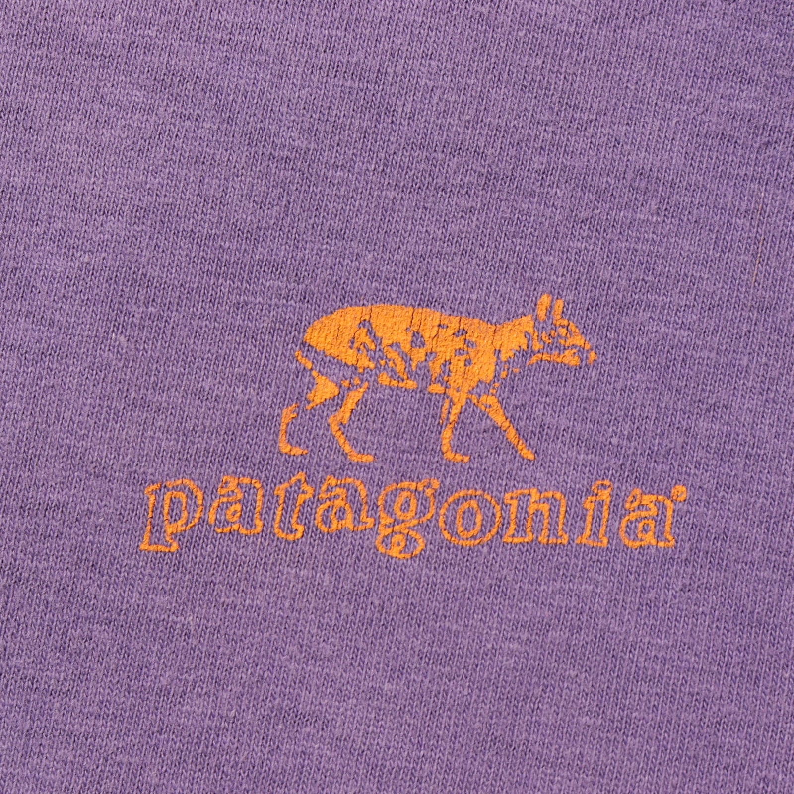 L 絶滅危惧種 90s patagonia Tシャツ パタゴニア 米国製 紫 パープル