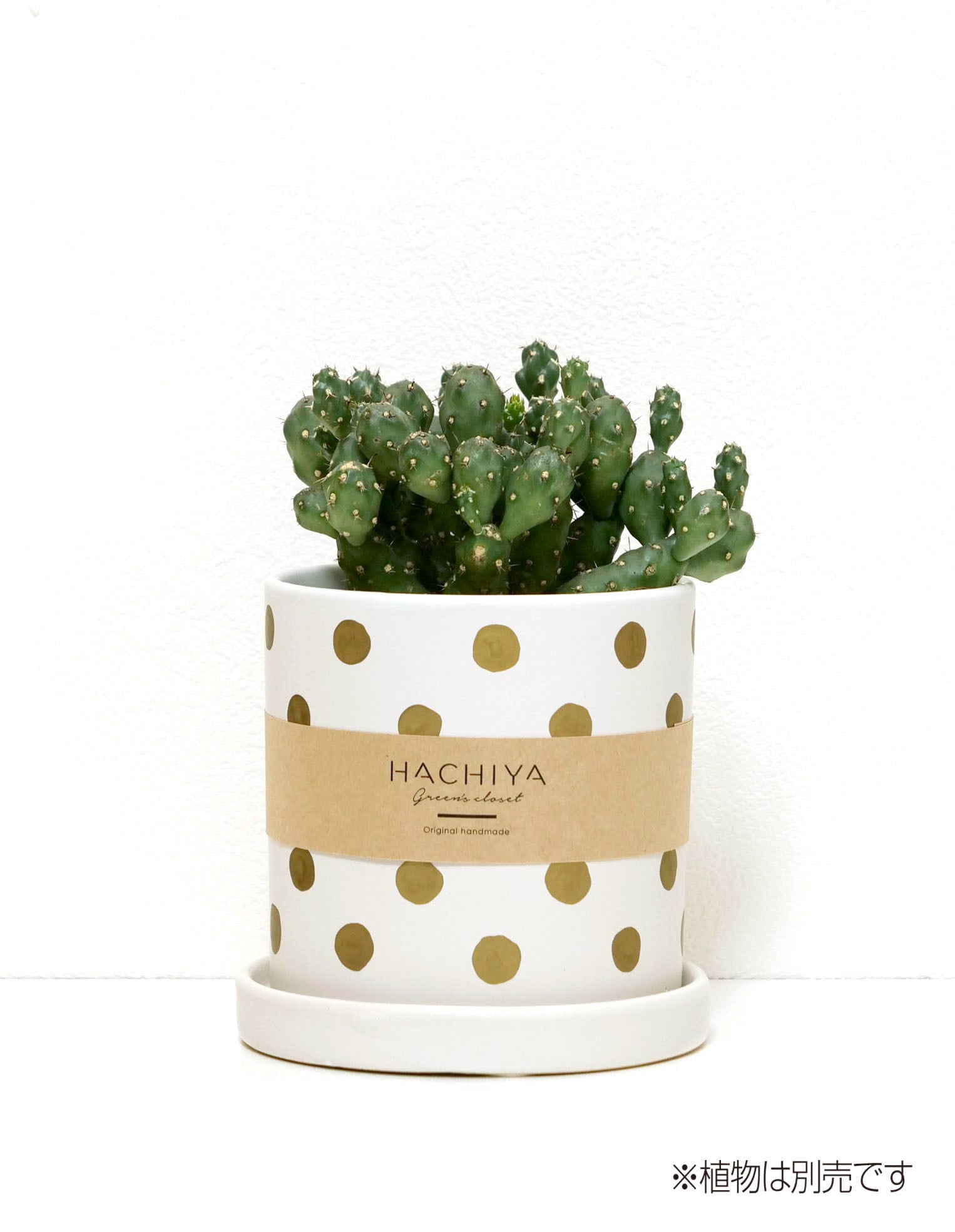 陶器鉢＞Dot gold Mサイズ | HACHIYA -Green's closet-